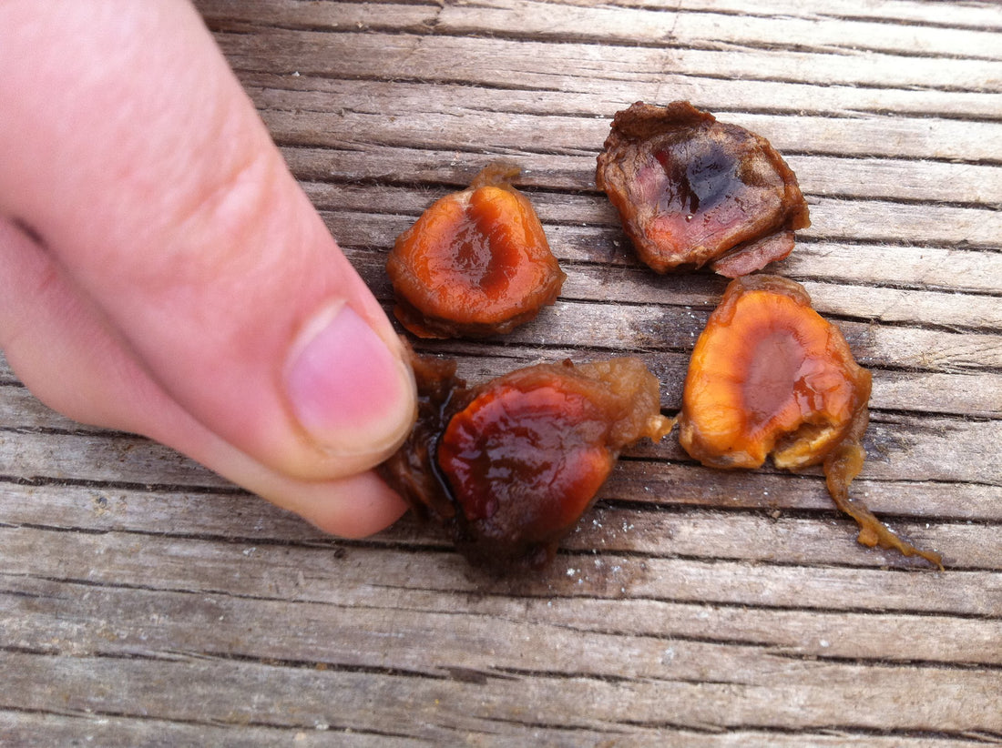 Allulose vs Monk Fruit: The Healthier Choice