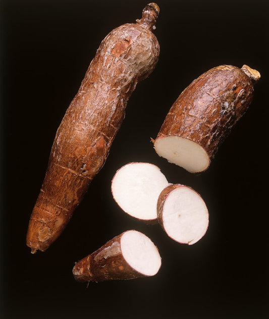 Why should you use prebiotic tapioca fiber?