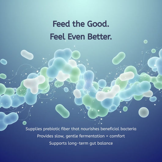 Fiberyum Tapioca Soluble Fiber Syrup (40oz)